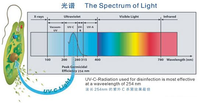 科普！紫外線殺菌燈對人體影響及正確使用方法